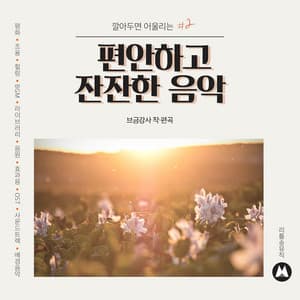 Calm and Realxing Background Music #2 - BGM Teacher