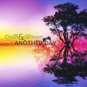 Another Day - David Cross
