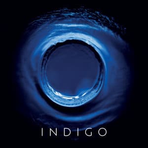 Indigo - Peter Breiner