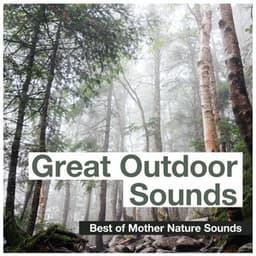 Great Outdoor Sounds - Best of Mother Nature Sounds