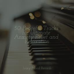 50 Peaceful Tracks for Ultimate Anxiety Relief and Relaxation - New Age