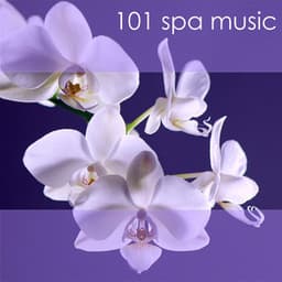 101 Spa Music - The Greatest Relaxing Spa Music for Massage, Beauty Treatments, Relaxation, Meditation and Sleep Collection - Spa Music Collective