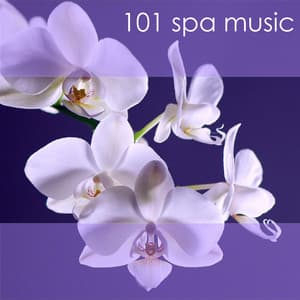 101 Spa Music - The Greatest Relaxing Spa Music for Massage, Beauty Treatments, Relaxation, Meditation and Sleep Collection - Spa Music Collective