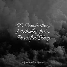 50 Comforting Melodies for a Peaceful Sleep - Rest & Relax Nature Sounds