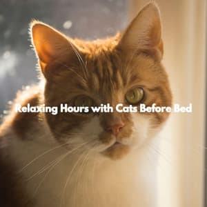 Relaxing Hours with Cats Before Bed - Piano Jazz Bar