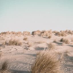 50 Summer 50 Spring 2021: Essential Healing Music Collection | Meditation - Sounds Of Rain & Thunder Storms