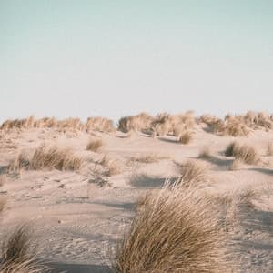 50 Summer 50 Spring 2021: Essential Healing Music Collection | Meditation - Sounds Of Rain & Thunder Storms