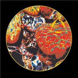 Virtual Current - Transonic