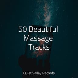50 Beautiful Massage Tracks - Heavy Rain Sounds