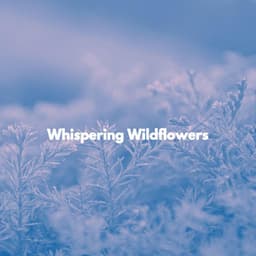 Whispering Wildflowers - Coffee Shop Playlist