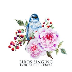 Birds Singing for Better Days: Calm Natural Sounds, Relax Your Body and Connect with Nature - Calm Singing Birds Zone