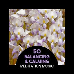 50 Balancing & Calming Meditation Music – Soothe Your Soul with Soft Sounds, Best Music Session for Relaxation, Stress Relief, Regeneration & Harmony - Robert Armisden