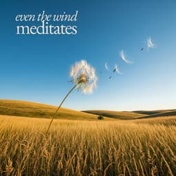 Even the Wind Meditates - Tranquility Spree