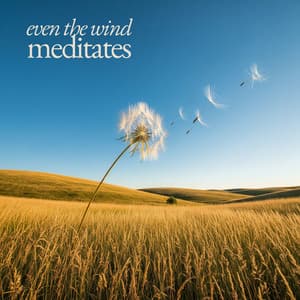 Even the Wind Meditates - Tranquility Spree