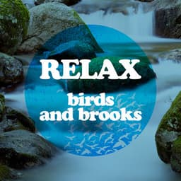 Relax: Birds and Brooks - Nature Sounds Nature Music