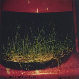 Ground - Nels Cline