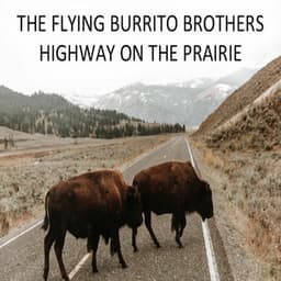 Highway on the Prairie - The Flying Burrito Brothers