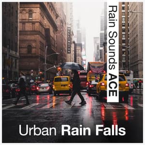 Urban Rain Falls - Rain Sounds ACE