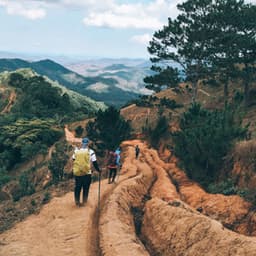 Nature Summit Serenade: Harmonies from Mountain Heights - Microdynamic Recordings
