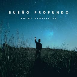 Sueño Profundo: No Me Despiertes - Meditación Con Ruido Blanco