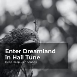 Enter Dreamland in Hail Tune - Deep Sleep Rain Sounds