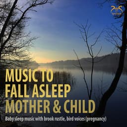 Music to Fall Asleep Mother & Child - Baby Sleep Music with Brook Rustle, Bird Voices - Max Relaxation
