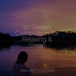 30 Sleepy Compilation for Relaxing & Sleep - Study Music & Sounds
