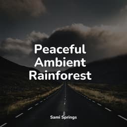 Peaceful Ambient Rainforest - Relajación