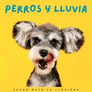 Perros Y Lluvia: Jugar Bajo La Llovizna - Sonidos De Lluvia