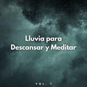 Lluvia Para Descansar Y Meditar Vol. 1 - Cascada de Lluvia