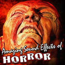 Amazing Sound Effects of Horror - Sound FX