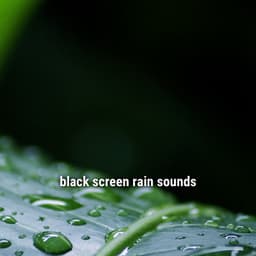 black screen rain sounds - Lightning, Thunder and Rain Storm