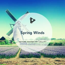Spring Winds - Nature Sounds by Lullify