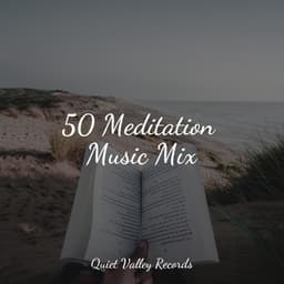 50 Meditation Music Mix - Mother Nature Sound FX