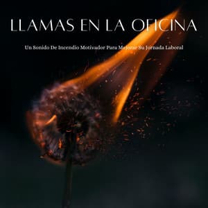 Llamas En La Oficina: Un Sonido De Incendio Motivador Para Mejorar Su Jornada Laboral - Estudio de efectos de chimenea
