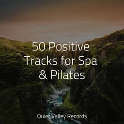 50 Positive Tracks for Spa & Pilates - Thunder Storm