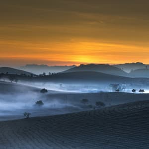 Serene and Soothing / Deep Meditation, Easy Sleep Music, Nature's Wonders - Nature Sounds