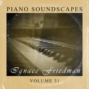 Piano SoundScapes Vol, 31: Ignace Friedman - Ignaz Friedman