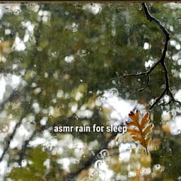 * asmr rain for sleep * - Ambient Rain
