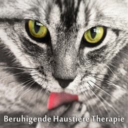 Beruhigende Haustiere Therapie - Entspannungsmusik Welt