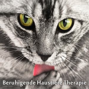 Beruhigende Haustiere Therapie - Entspannungsmusik Welt