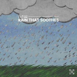 Rain That Soothes - Recording Nature