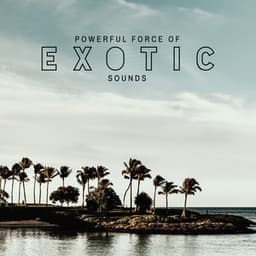 Powerful Force of Exotic Sounds - Exotic Power Maker