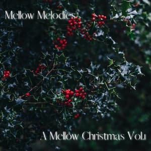 A Mellow Christmas, Vol.1 - Mellow Melodies