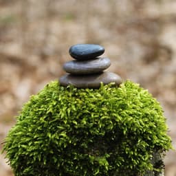 Our Reflection | Inspirational Thoughts, Rooftop Stargaze - Brain Study Music Guys