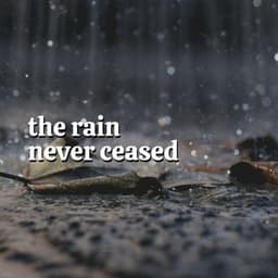 The Rain Never Ceased - The Nature Soundscapes