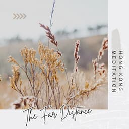 The Far Distance - Hong Kong Meditation
