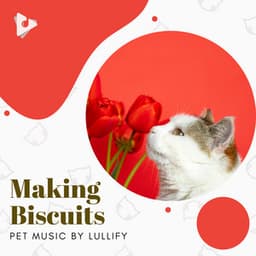 Making Biscuits - Pet Music by Lullify
