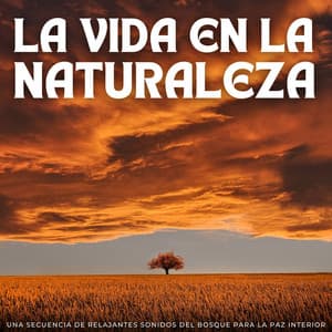 La Vida En La Naturaleza: Una Secuencia De Relajantes Sonidos Del Bosque Para La Paz Interior - Vibraciones de la Naturaleza