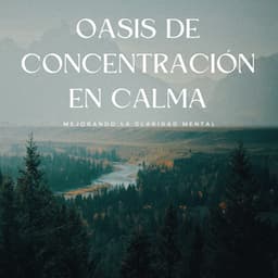 Oasis De Concentración En Calma: Mejorando La Claridad Mental - El Tiempo Central